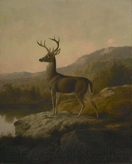 unknow artist Deer Germany oil painting art